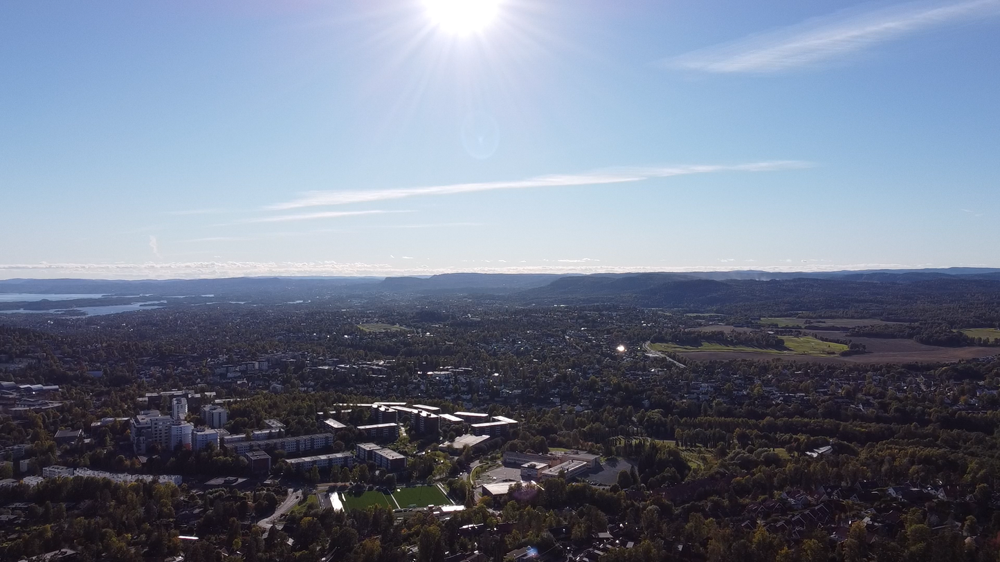 Landscape Summer View