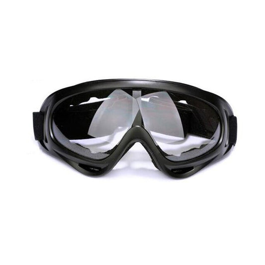 Ski Snowboard Goggles Glasses