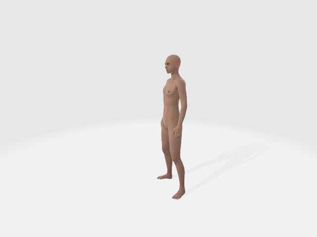 3D Character