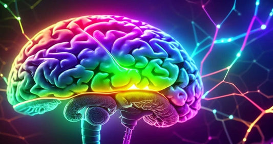 Color Brain (Stock Photo)