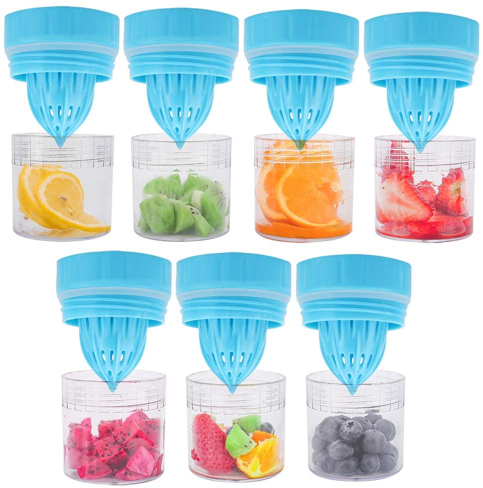 Vannflaske H2O Fruit Infuser Drikke | 20 oz 