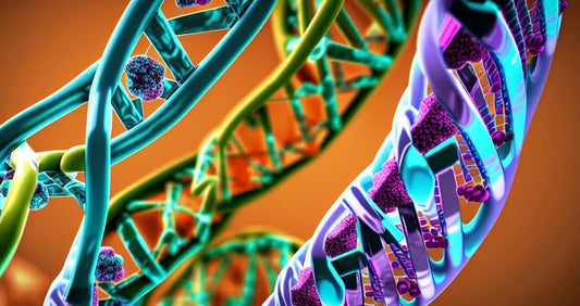 DNA (Stock Photo)