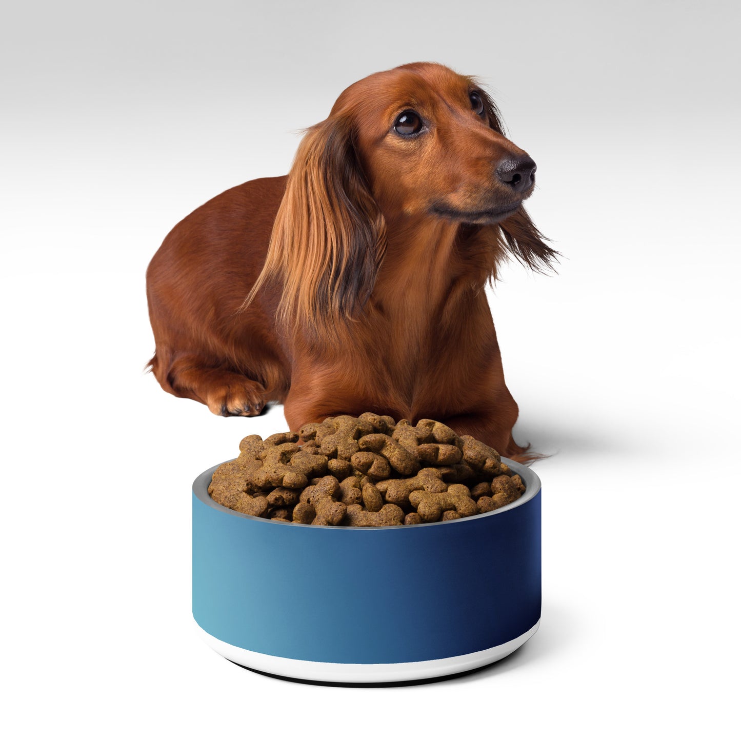 Pet bowl