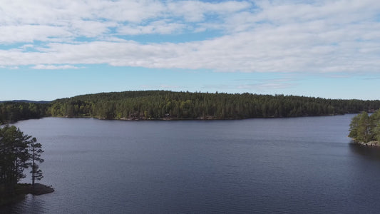 Cloudy Blue Sky Forest Lake Summer