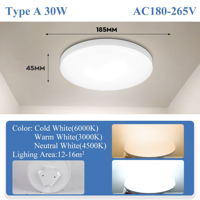 Modern Led Ceiling Lamp