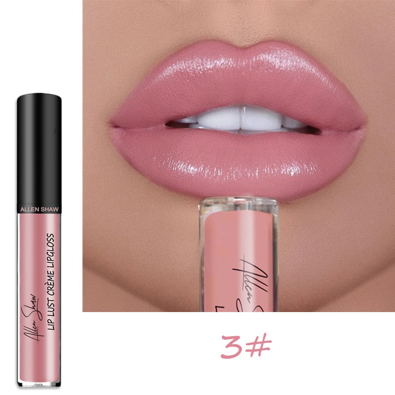 Lipstick Waterproof Long Lasting Moist Lip Gloss