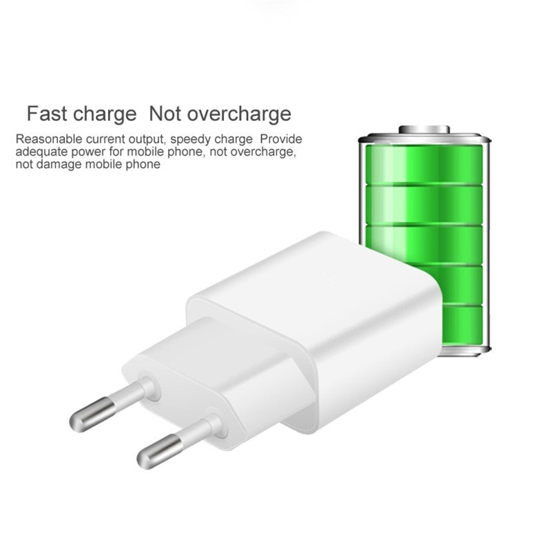 Fast Charger