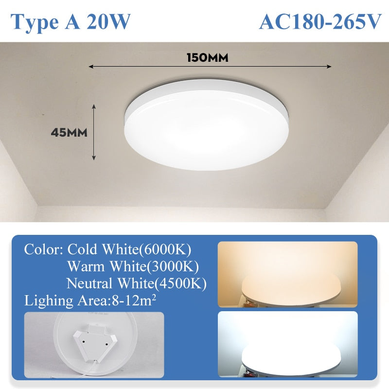 Modern Led Ceiling Lamp