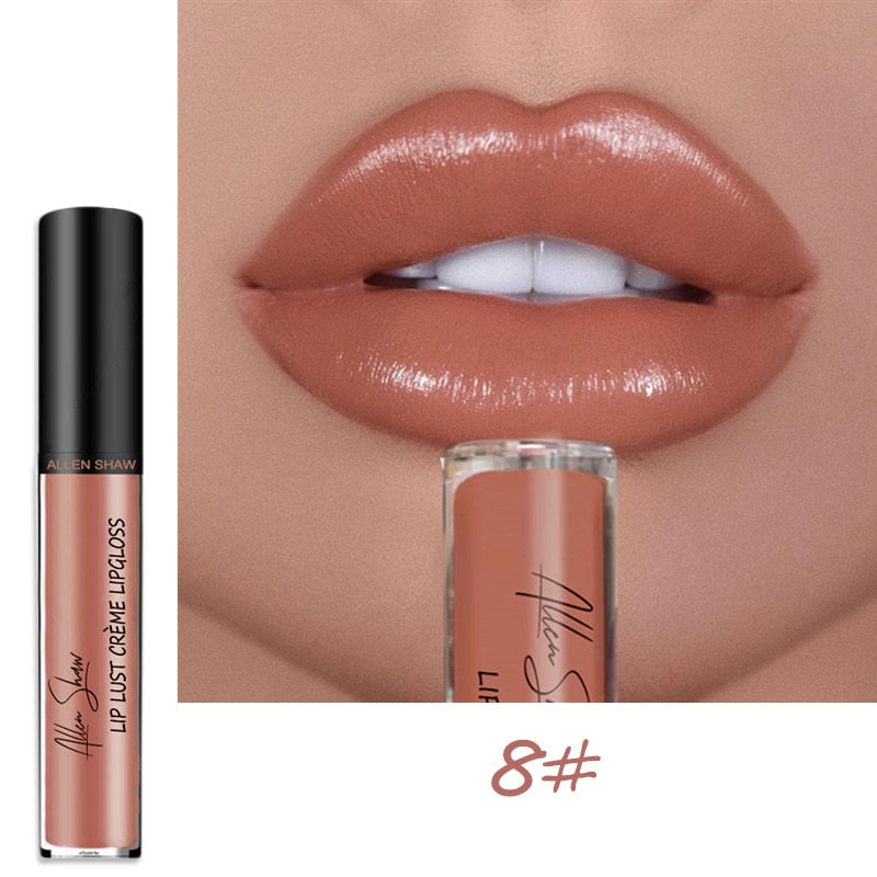 Lipstick Waterproof Long Lasting Moist Lip Gloss