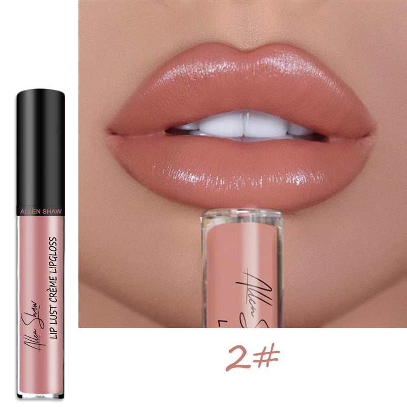 Lipstick Waterproof Long Lasting Moist Lip Gloss