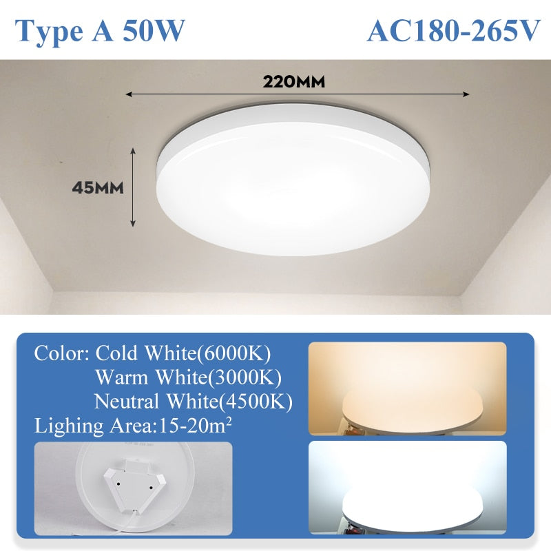 Modern Led Ceiling Lamp