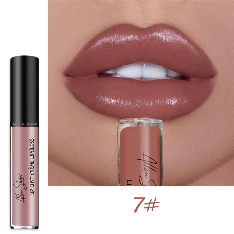 Lipstick Waterproof Long Lasting Moist Lip Gloss