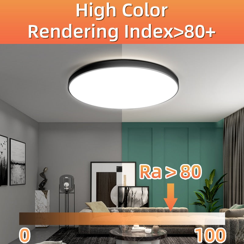 Modern Led Ceiling Lamp