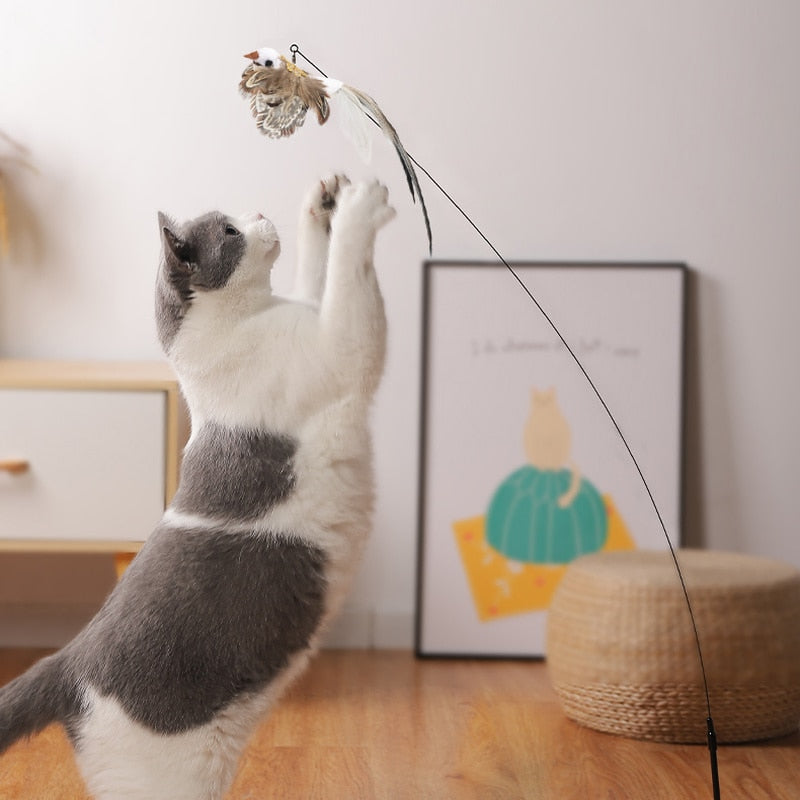 interactive Pet Toy with Bell