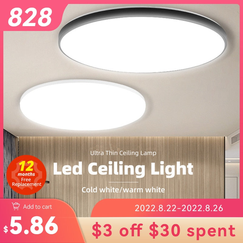 Modern Led Ceiling Lamp