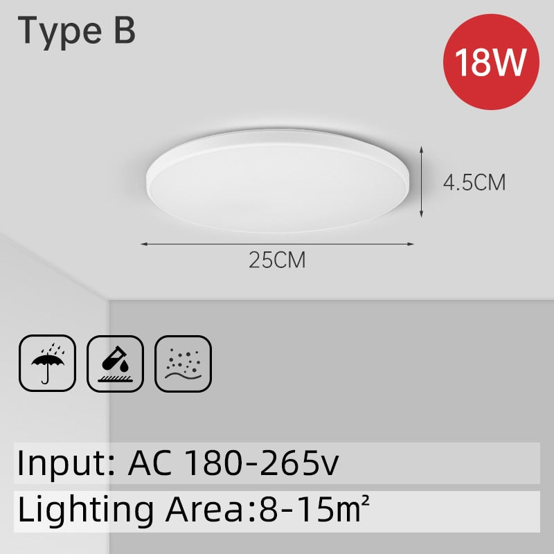 Modern Led Ceiling Lamp