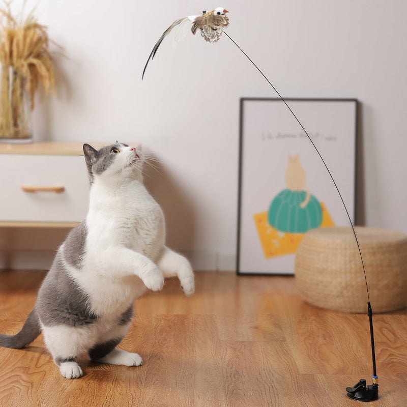 interactive Pet Toy with Bell