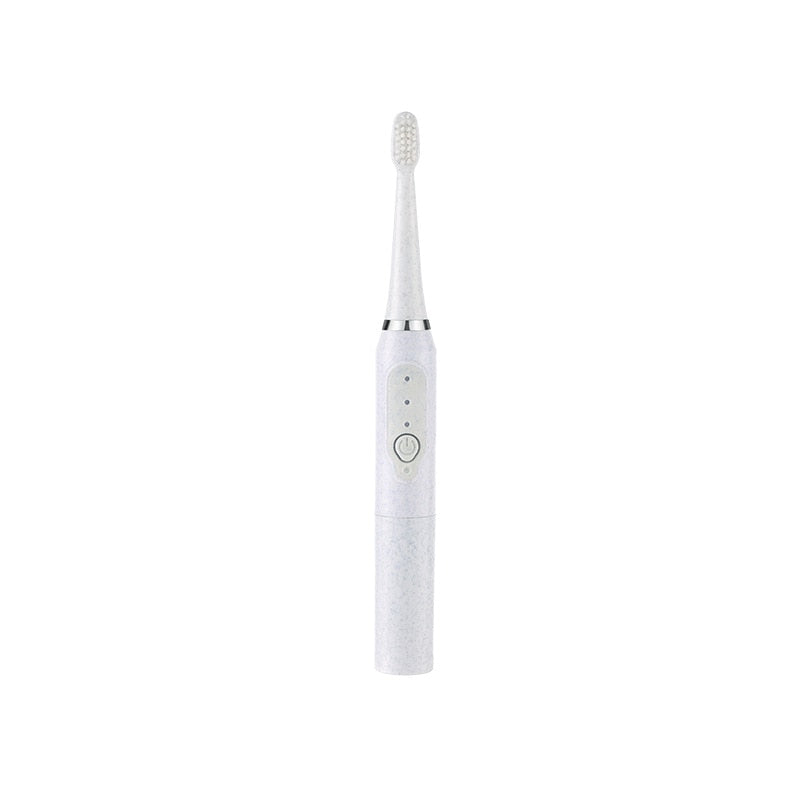 Electric Toothbrush