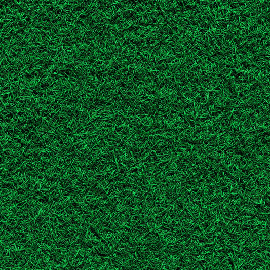 Grass Texture