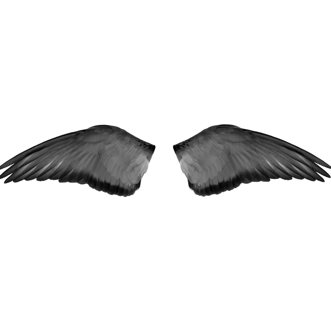 Wing