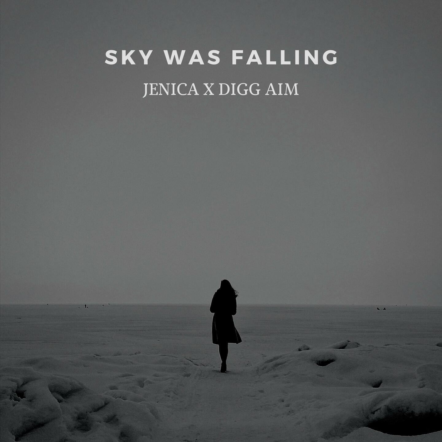 Sky was falling