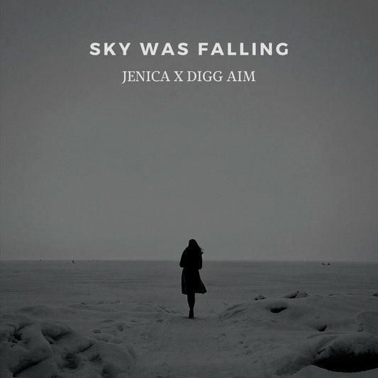 Sky was falling | Remix