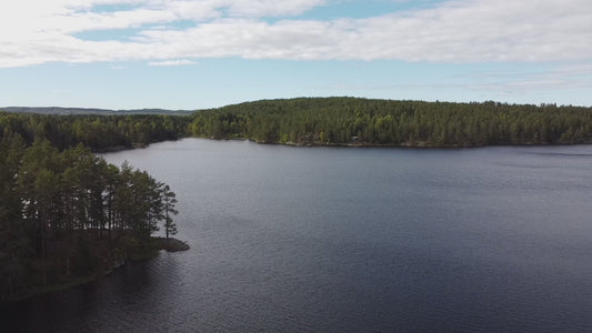 Skandinavia Lake And Forest