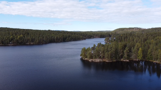 Lake Nature